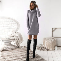 Winter Long Sleeve Knit Dress Sweater For Women