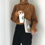 Autumn Women Sweater Casual Loose Turtleneck Knitted