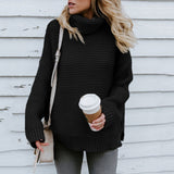 Women Turtleneck Sweaters Autumn Pull Jumpers